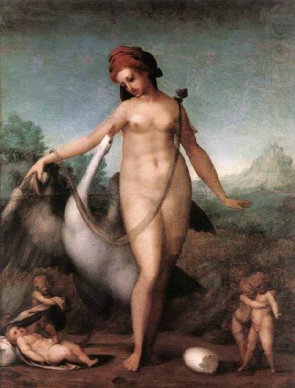 Leda and the Swan, Pontormo, Jacopo
